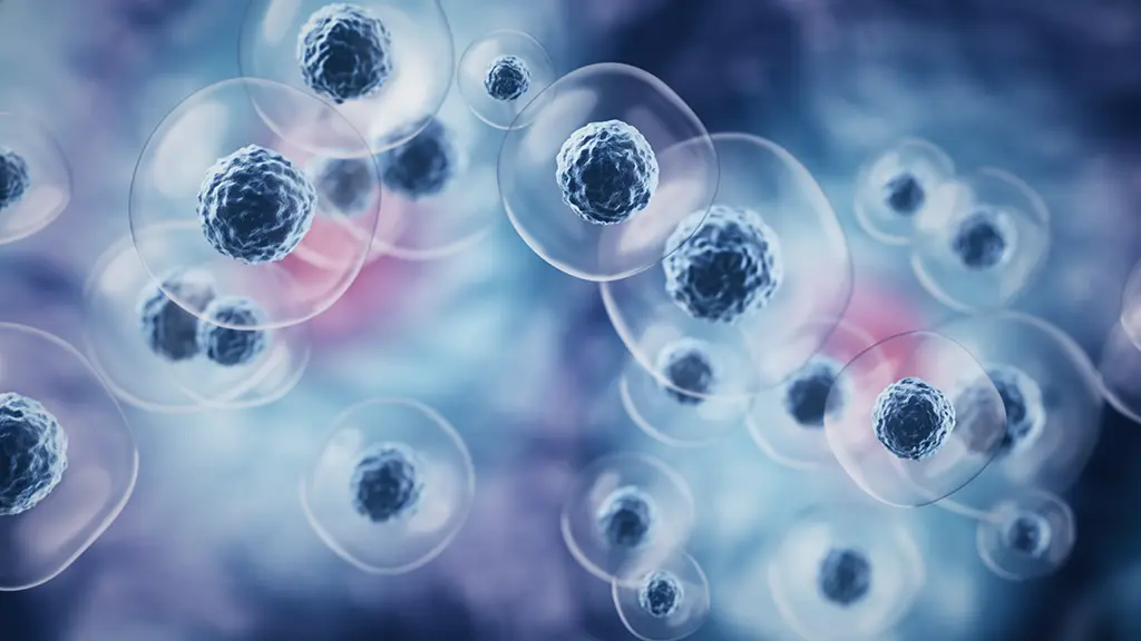 macro-cells